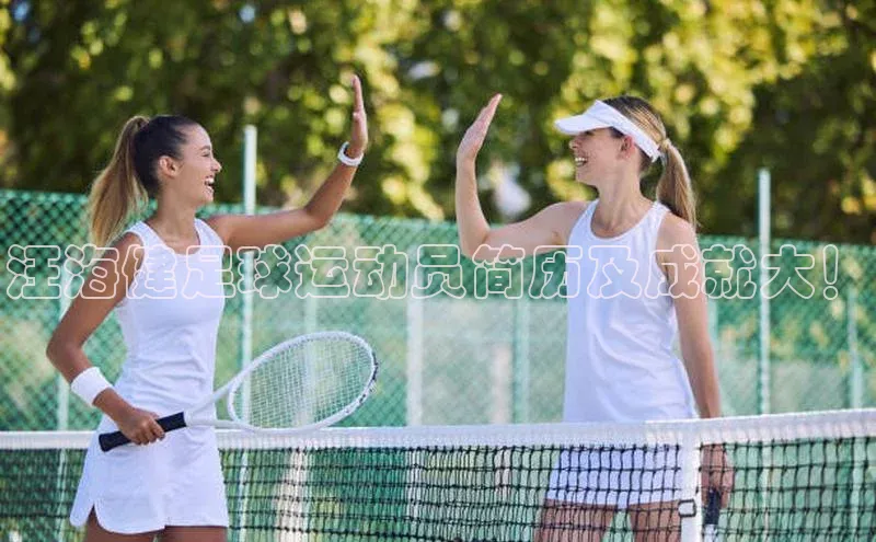 ayx游戏官网入口百度人工翻译汪海健足球运动员简历及成就大！