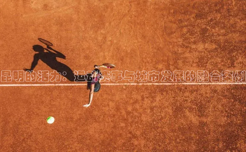 爱游戏app手机官方网站普信公司昆明的活力：运动赛事与城市发展的融合案例