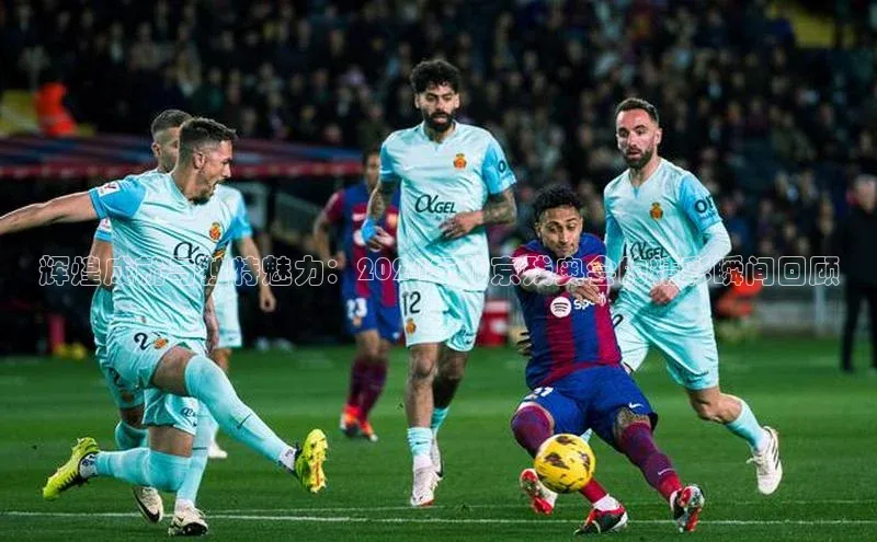 辉煌成就与独特魅力：2024年北京残奥会的精彩瞬间回顾