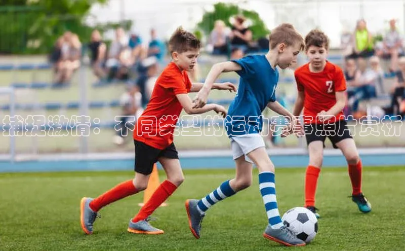 捕捉激情：不同类型的运动赛事照片赏析