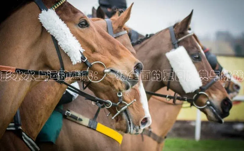 彭水水上运动盛事：一场全面的夏日庆典与挑战