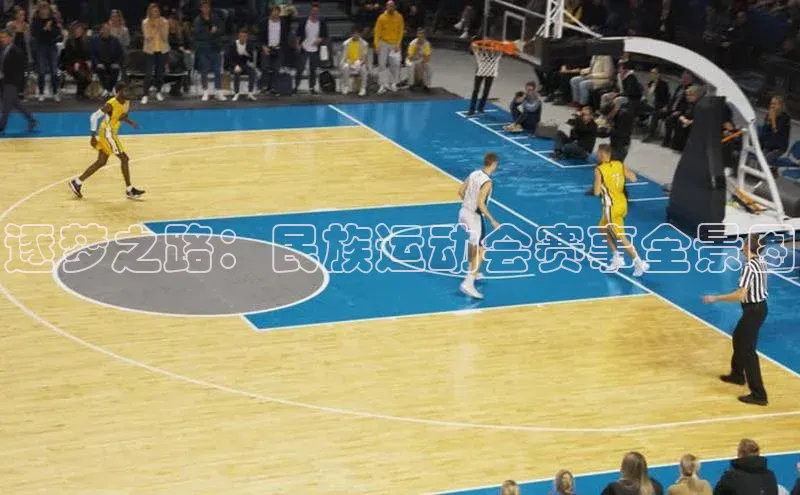 逐梦之路：民族运动会赛事全景图