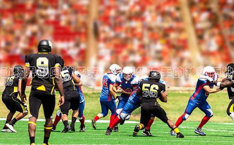 动物界的奥林匹克：最顶尖选手的神秘面纱