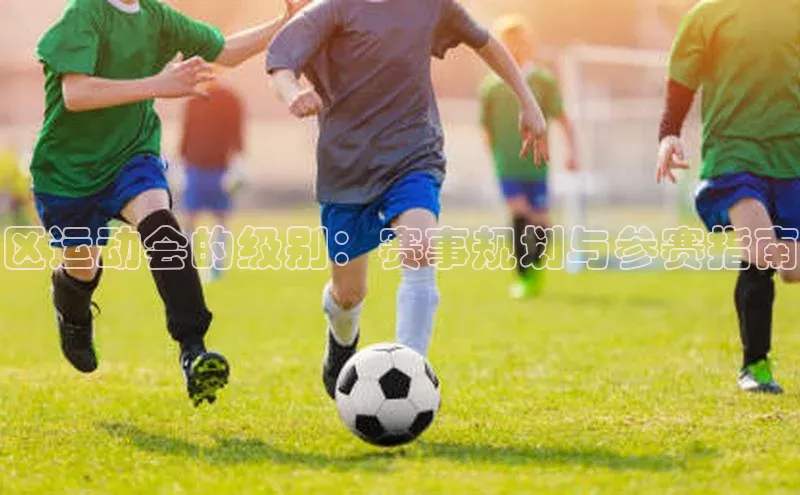 区运动会的级别：赛事规划与参赛指南