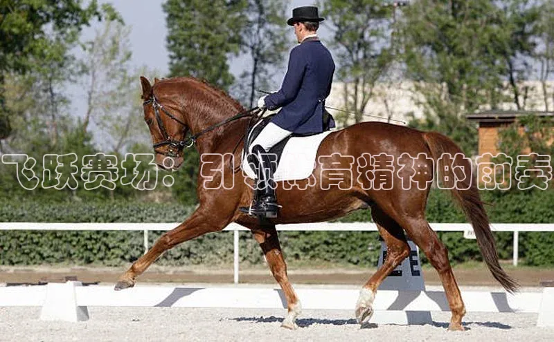 爱游戏登录入口网页版平台