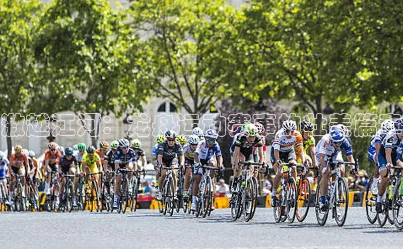 激越江河：龙舟运动赛事的壮美篇章