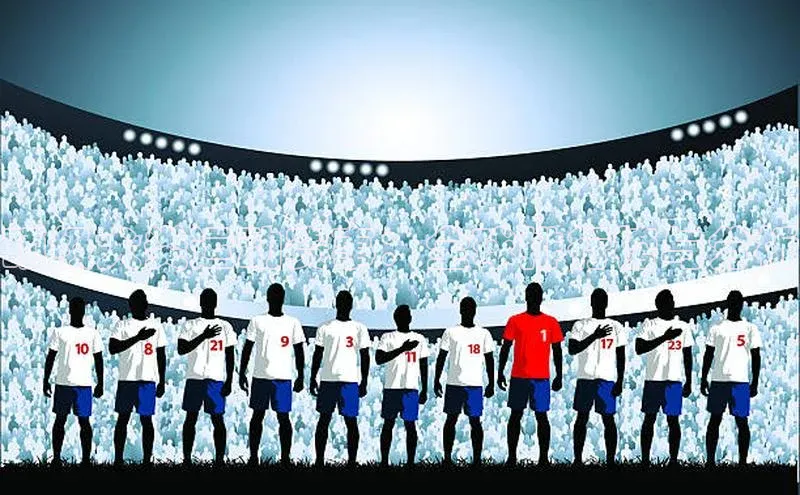 顶级犬类运动赛事：全球排行榜与分析