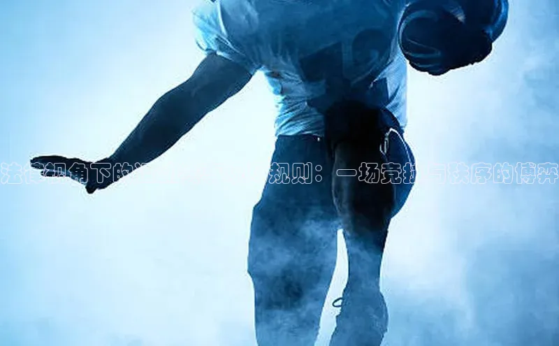 法律视角下的运动赛事现场规则：一场竞技与秩序的博弈