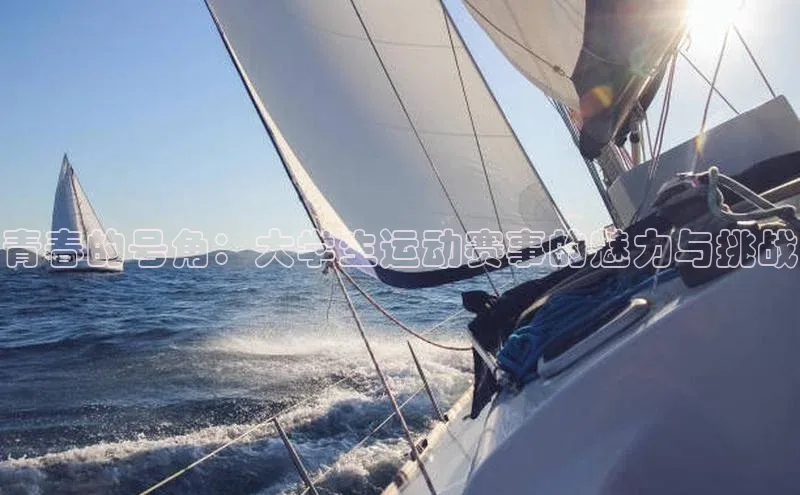 青春的号角：大学生运动赛事的魅力与挑战